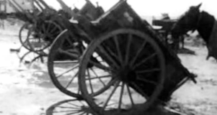 Carroças Regionais Algarvias