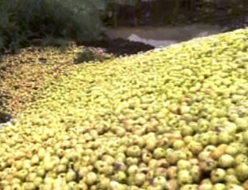 Crise na agricultura