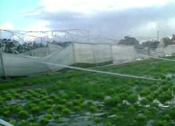 Mau tempo provoca estragos em plantações agrícolas