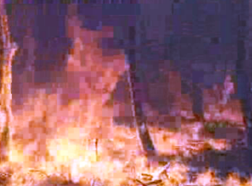 Incêndios em Portugal