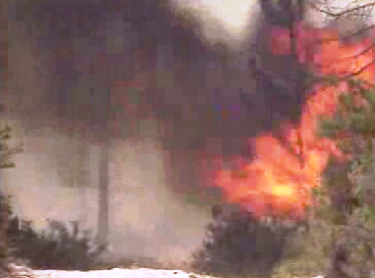 Incêndio florestal no Fogueteiro