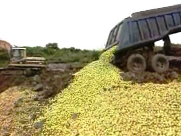 Cruz Vermelha critica os agricultores