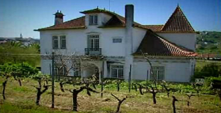 Vidigal Wines