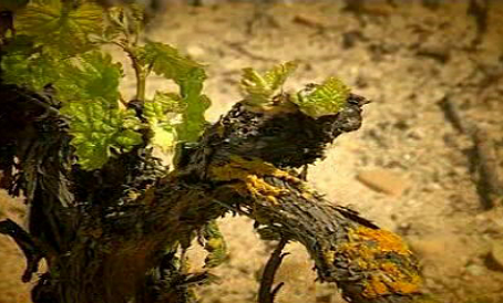 Emilio Moro e Abadia Retuerta