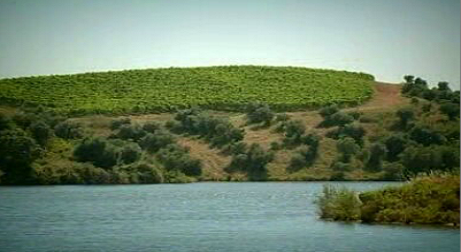 Herdade do Peso e Regata de Barcos Rabelos