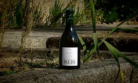 Quinta de Reis e Garrafeira Enomania