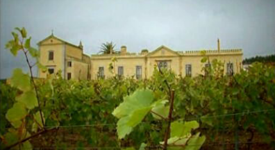 Quinta do Gradil e Garrafeira Tio Pepe