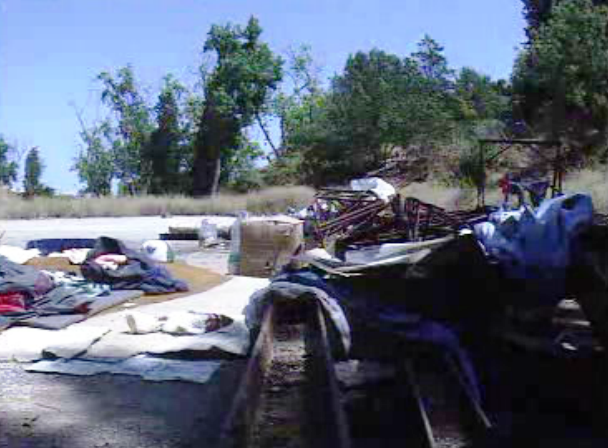 Apelo do SOS Racismo