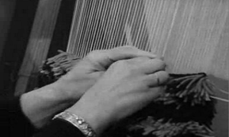 O Mundo dos Cegos… o Cego como Elemento da Sociedade