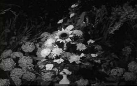 Carlos Queiroz – o Desaparecido