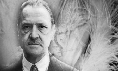 Os Livros de Maria de Belém