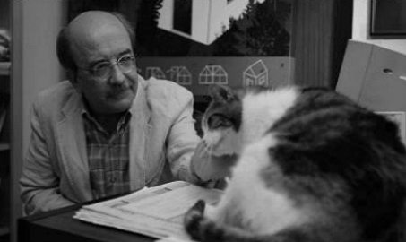 Crónica, Saudade da Literatura