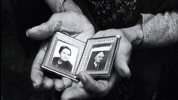 Memória de Elefante