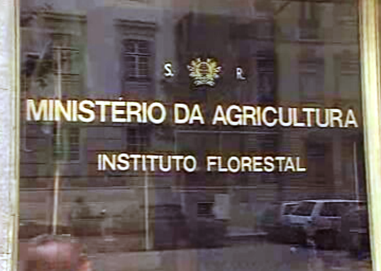 Florestas em Portugal