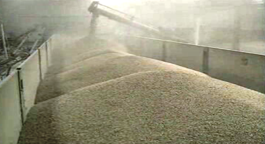 Exportação de trigo