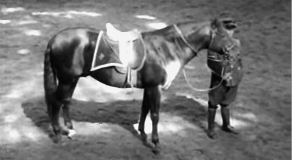 A Festa do Cavalo de Alter