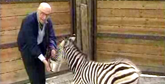 109º Aniversário do Jardim Zoológico