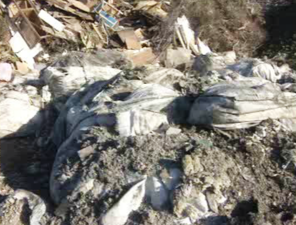 Resíduos de amianto em Trajouce