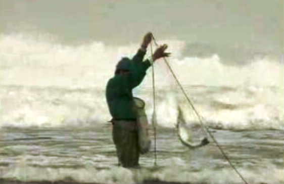 Práticas ilegais de pesca