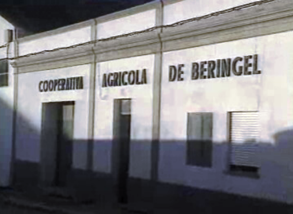 Azeite falsificado em Beringel