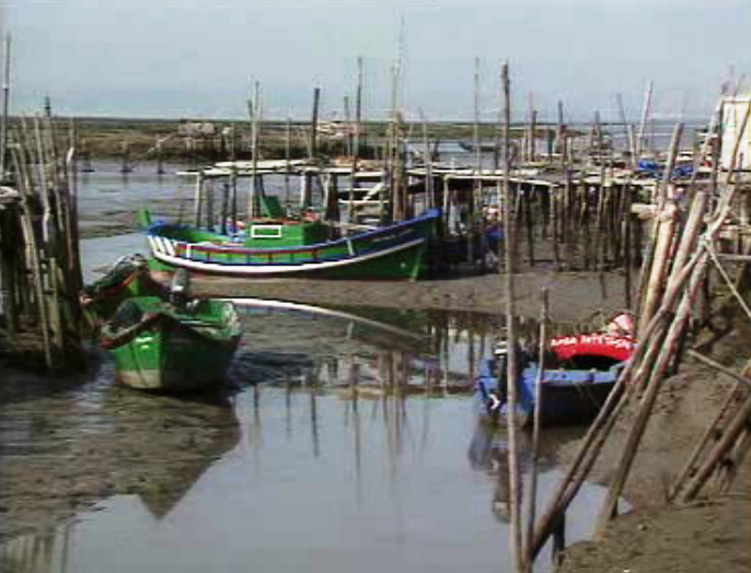 Protesto de pescadores