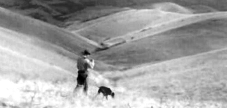 Criação e Caça à Perdiz