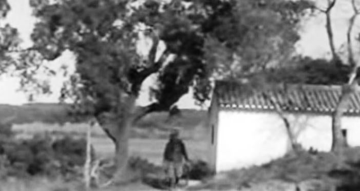 Criação Artificial de Aves