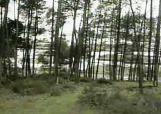 Construção de incineradoras