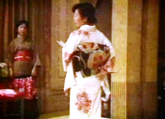 Divulgação da cultura do Japão