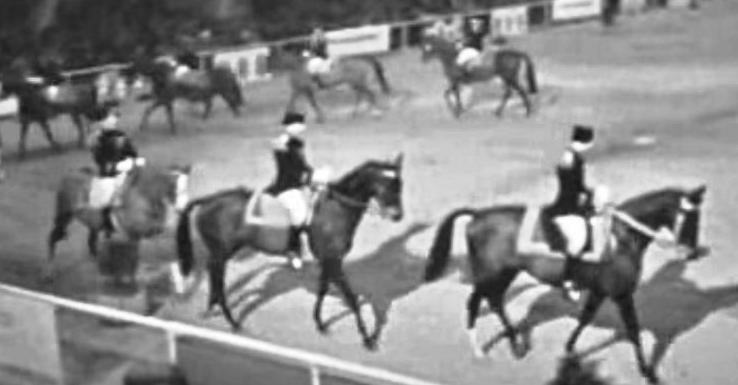 Escola de Cavalaria de Saumur