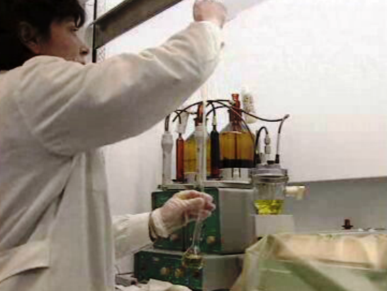 Situação das fábricas de explosivos em Portugal