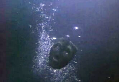 Festival de cinema Fantasporto