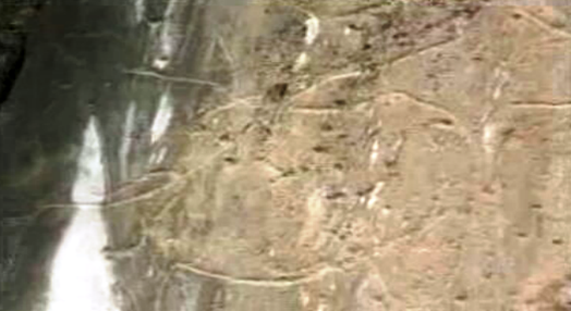 Gravuras rupestres no Vale do Côa