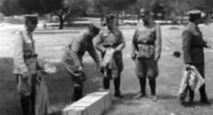 Caça Furtiva e Repovoamento