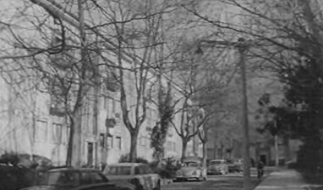 Alvalade: Geração 1