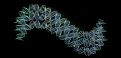 Genética – A Herança