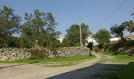 Emigração – Movimento Perpétuo