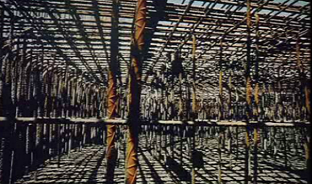 Fotografia – Quatro Olhares