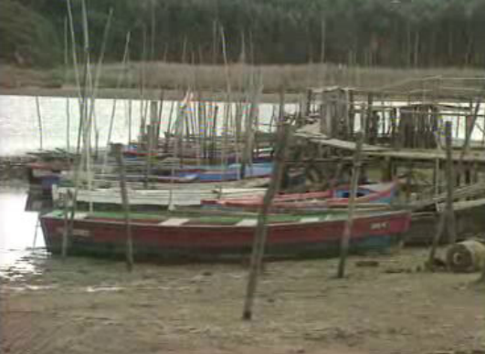 Combate à poluição em Óbidos