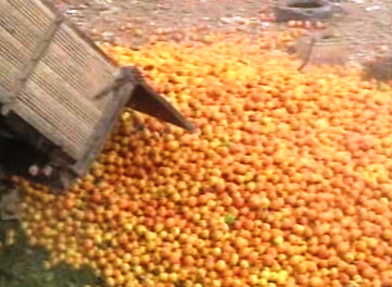 Falta de escoamento da laranja