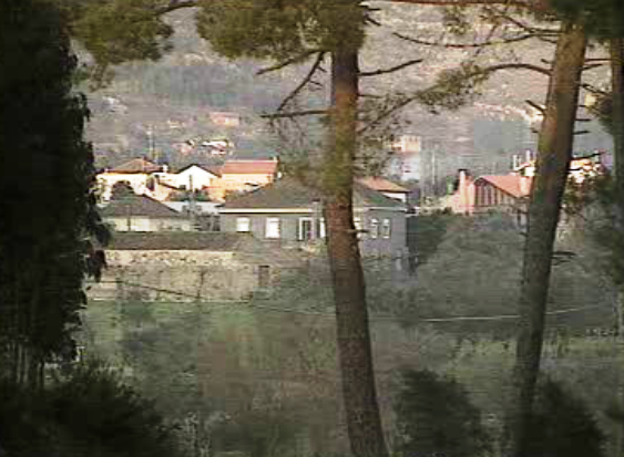 Armazéns de azeite falsificado