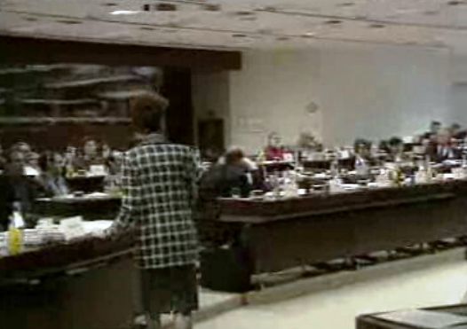 Questão de Timor no Parlamento Europeu