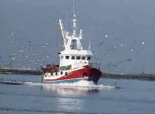 Redoção das quotas de peixe