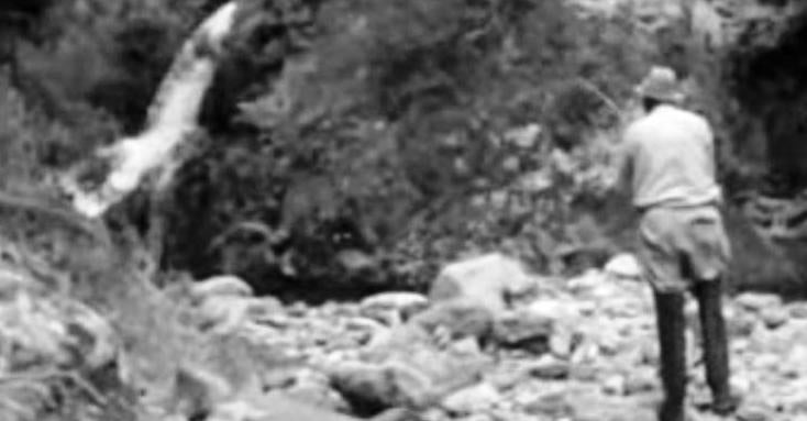 Pesca à Truta com Pluma