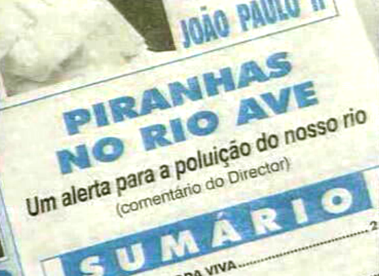 Boato sobre piranhas no rio Ave