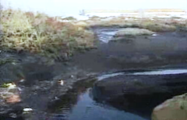 Poluição na Ria Formosa