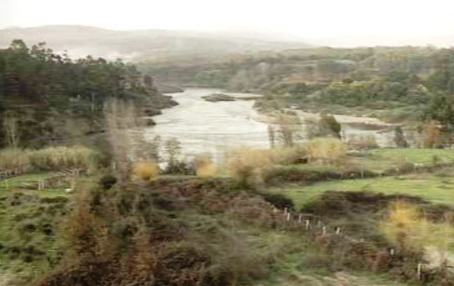 Protesto dos ecologistas