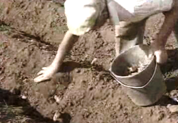 Seca no arquipélago da Madeira