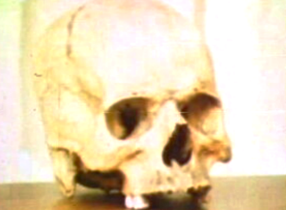 Sexta-feira 13, dia de azar