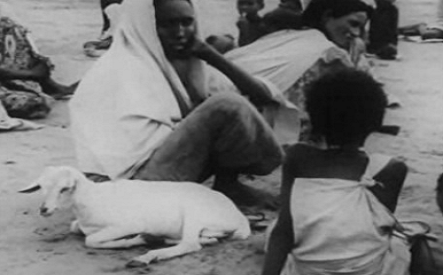 A Explosão Demográfica e a Fome